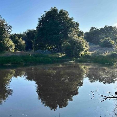 Villa Julian Orchard Ranch Santa Ysabel Esterno foto
