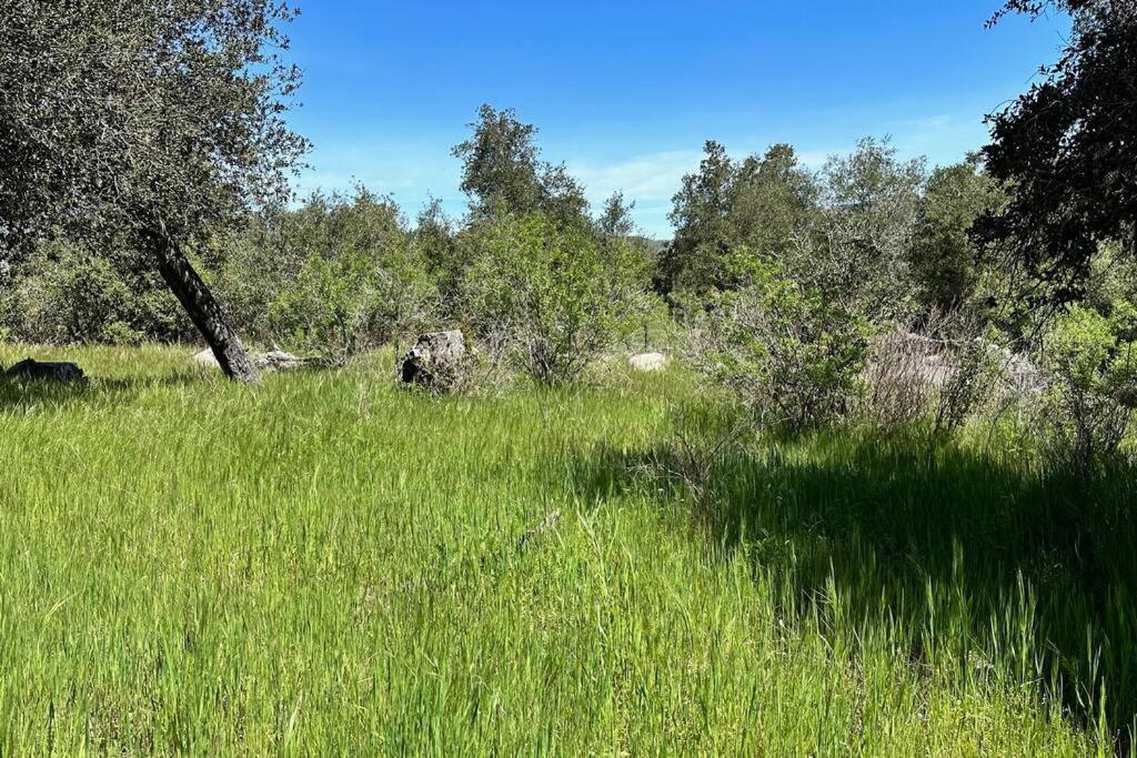 Villa Julian Orchard Ranch Santa Ysabel Esterno foto